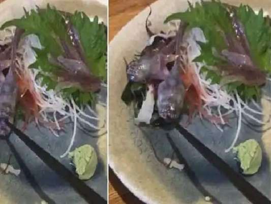 جاپان میں کھانے کیلئے دی جانیوالی مچھلی اچانک زندہ ہوگئی