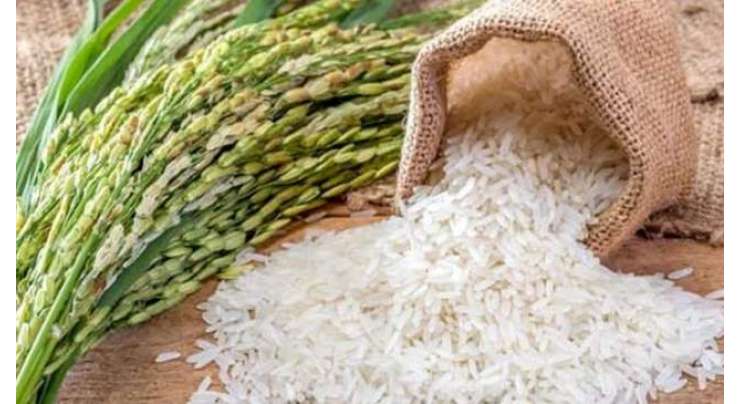 پاکستانی چاول کی درآمد پر 5 سال کی ٹیکس چھوٹ دینے کا فیصلہ