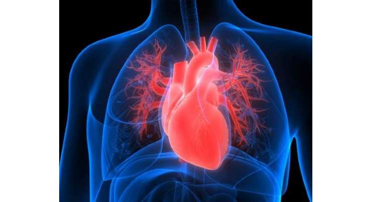 دل کی بند شریانیں کھولنے والے اسٹنٹ کی قیمت میں اضافہ