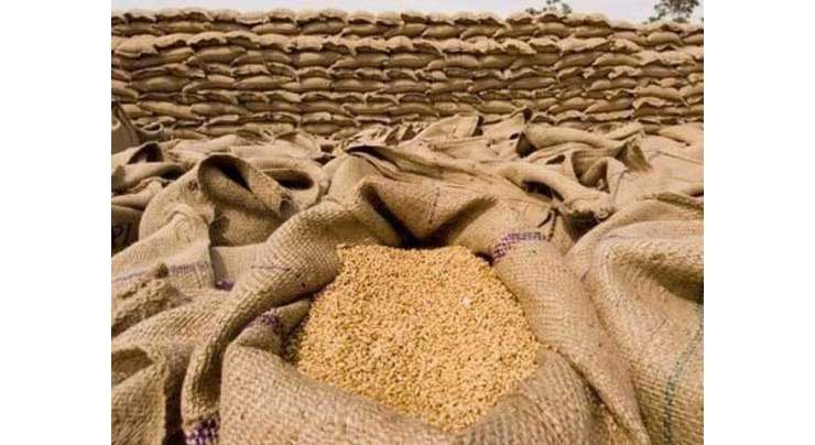 ملک میں گندم کی درآمد سے متعلق اہم انکشافات سامنے آگئے