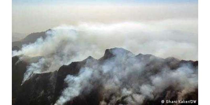 بلوچستان:  چلغوزے کے جنگل میں لگی آگ پر قابو نہیں پایا جاسکا