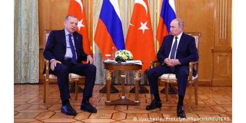 ترک اور روسی صدور کی ملاقات میں کیا باتیں ہوئیں؟