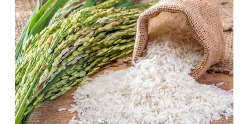 چاول کی برآمدات میں جاری مالی سال کے پہلے 4 ماہ میں  9 فیصدکی کمی ریکارڈ