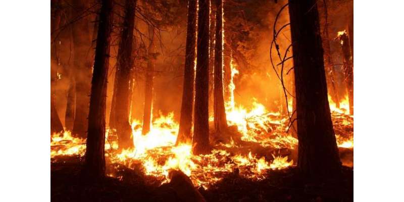 کینیڈا کے جنگلات میں لگی آگ نے ہزاروں افراد کو نقل مکانی پر مجبور کردیا