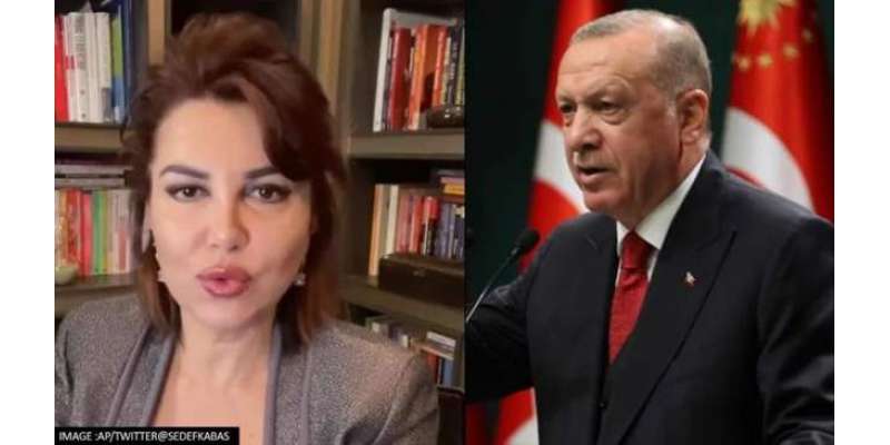 ترک صدر کی مبینہ توہین کی پاداش میں خاتون صحافی کو جیل بھیج دیا گیا