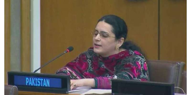 بھارت دہشتگردوں کی مالی و عسکری سرپرستی ، کشمیرمیں ظلم چھپا نہیں سکتا- ..