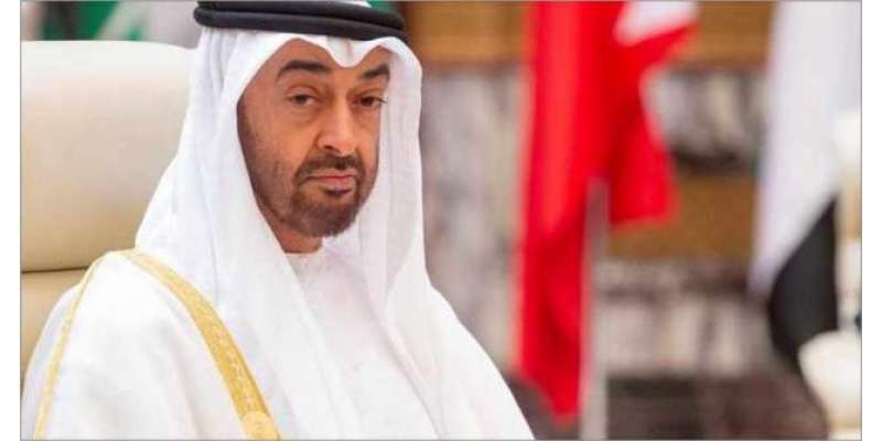 شیخ محمد بن زاید النہیان متحدہ عرب امارات کے نئے صدر منتخب ہو گئے