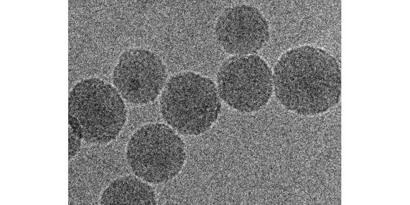 کیموتھراپی دوا سے بھرے نینو ذرات سے سرطان زدہ چوہوں کا کینسر کم ہوگیا