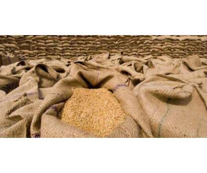 حکومت گندم خریداری سے ہاتھ کھینچ چکی، کسان کو3900 روپے فی من قیمت نہیں مِل رہی 
