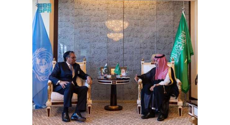 پاکستان و سعودی عرب کا معیشت، تجارت، سرمایہ کاری کے فروغ پر اتفاق