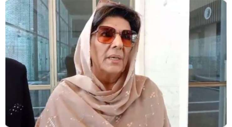 علیمہ خان نے نواز شریف کو پانامہ کیس میں اقامہ پر سزا دینا غلطی قرار دیدیا