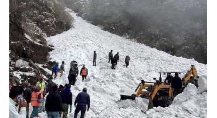 وادی شونٹر حادثہ، برف سے 8 افراد کی لاشیں نکال لی گئیں