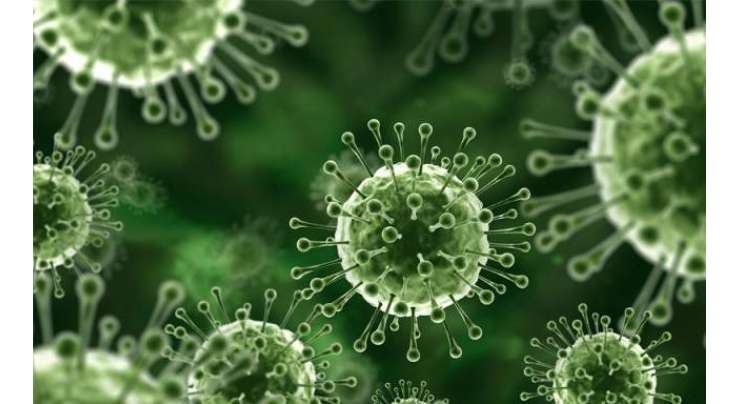 پنجاب بھرمیں ایک اور خطرناک وائرس کا خطرہ منڈلانے لگا