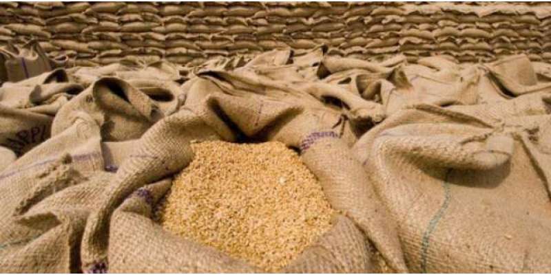 حکومت گندم خریداری سے ہاتھ کھینچ چکی، کسان کو3900 روپے فی من قیمت نہیں ..