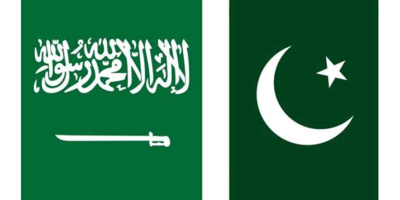 پنجاب میں پاک سعودی جوائنٹ بزنس کونسل کے وفد کی آمد کے شاندار معاشی ..