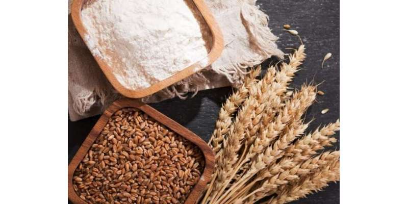 محکمہ زراعت پنجاب نے گندم کی بہتر نگہداشت کیلئے سفارشات جاری کر دیں