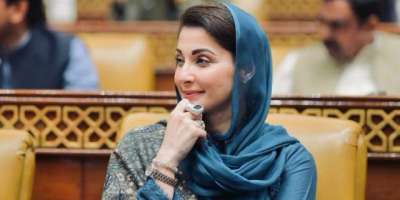 ایک مضبوط، خودکفیل اور خوشحال پنجاب کی تعمیر دیہی خواتین کے کردار کے ..