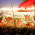 تحریک انصاف کا 9 مئی کو جلسہ عام کے انعقاد کا فیصلہ
