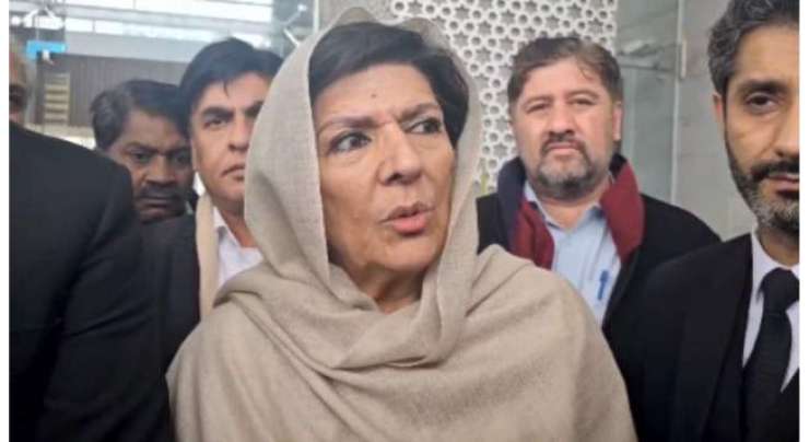علیمہ خان نے نواز شریف کو پانامہ کیس میں اقامہ پر سزا دینا غلطی قرار دیدیا