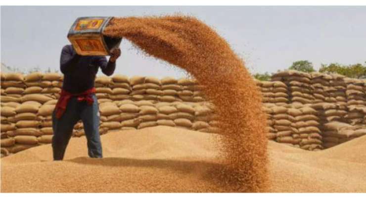 خیبرپختونخوا حکومت نے پنجاب کے کاشتکاروں سے 7 ہزار میٹرک ٹن گندم خرید لی