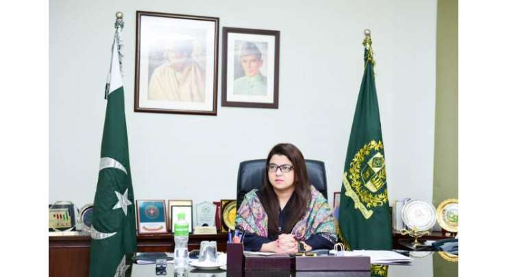 وزیرمملکت برائے آئی ٹی شزہ فاطمہ خواجہ سے سی ای او تاون، وطین کی ملاقات