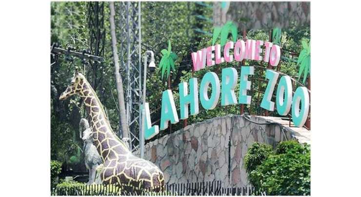 بچوں کیلئے خوشخبری،لاہورچڑیا گھر عیدالاضحی سے قبل کھول دیا جائیگا
