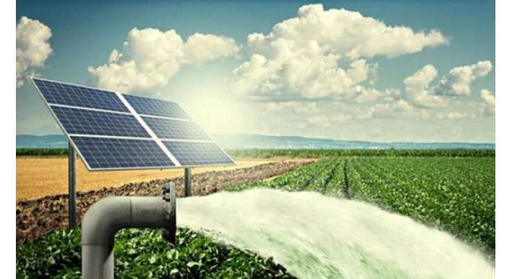 پنجاب میں زرعی ٹیوب ویلز کی شمسی توانائی پر منتقلی سے بجلی کے اخراجات میں کمی ہوگی،ترجمان محکمہ زراعت