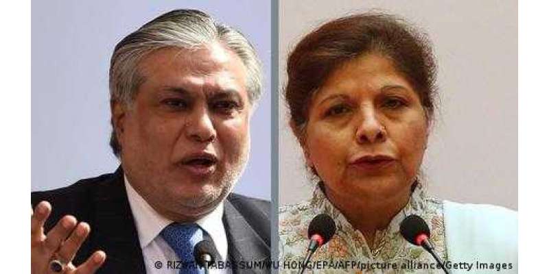 پاکستان کا اگلا وزیر خزانہ کون ہوگا؟