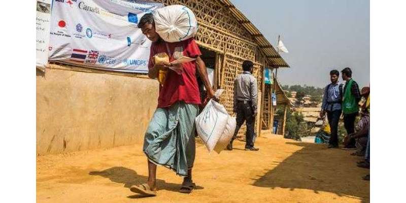 بنگلہ دیش میں روہنگیا پناہ گزینوں کے تحفظ میں عالمی تعاون اہم