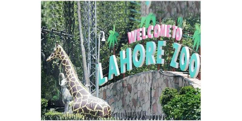 بچوں کیلئے خوشخبری،لاہورچڑیا گھر عیدالاضحی سے قبل کھول دیا جائیگا