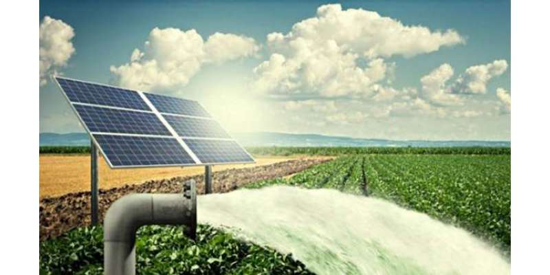 پنجاب میں زرعی ٹیوب ویلز کی شمسی توانائی پر منتقلی سے بجلی کے اخراجات ..