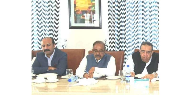 پاکستان بزنس فورم کی ایگزیکٹو کمیٹی کا اجلاس