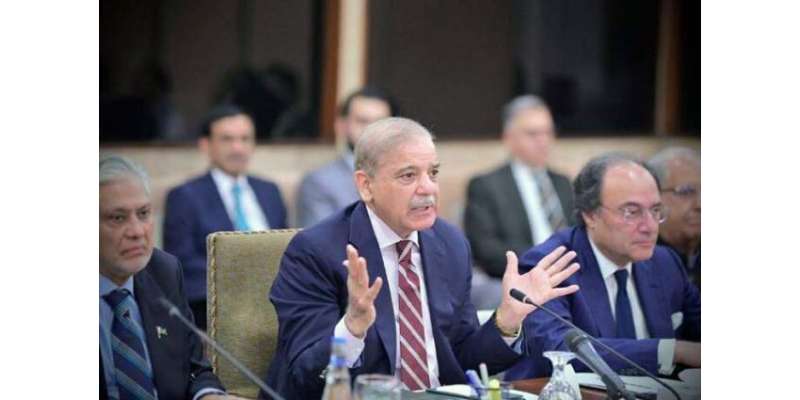پیپلز پارٹی اور مسلم لیگ (ن) میں بڑھتے اختلافات‘شہبازشریف نے نون لیگی ..