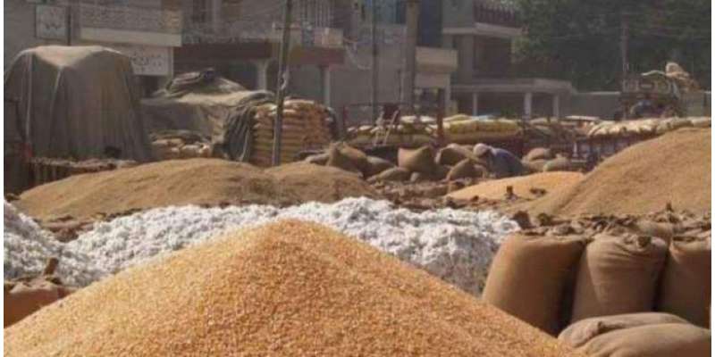 خیبرپختونخواہ حکومت کا پنجاب کے کسانوں سے گندم خریدنے کا فیصلہ