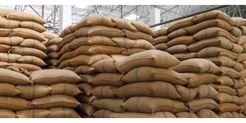 کے پی حکومت نے پنجاب کے کاشتکاروں سے گندم کی خریداری کا آغاز کردیا