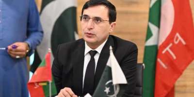 لوگ نیشنل ایکشن پلان پڑھے بغیر کنفیوڑن پیدا کررہے ہیں، بیرسٹر گوہر