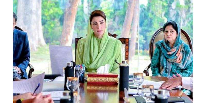 وزیراعلیٰ پنجاب کا آبی گزرگاہوں کو ریڈ زون قرار دے کر تجاوزات ختم ..