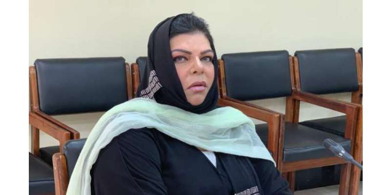 حکومت کرپٹو کرنسی کو فروغ دے رہی جبکہ اسٹیٹ بینک اور مالیاتی ادارے ..