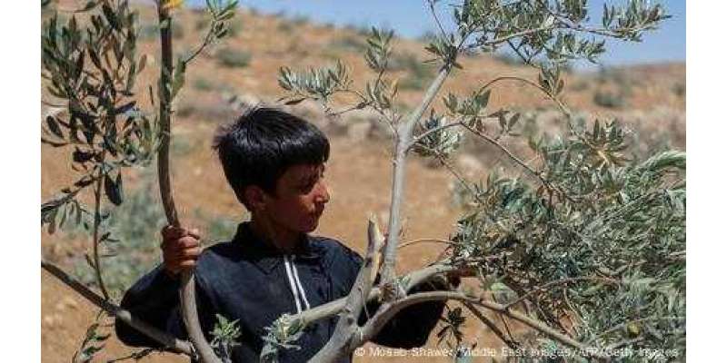 اسرائیلی فلسطینی تنازعے میں ویسٹ بینک کی حیثیت مرکزی کیسے؟