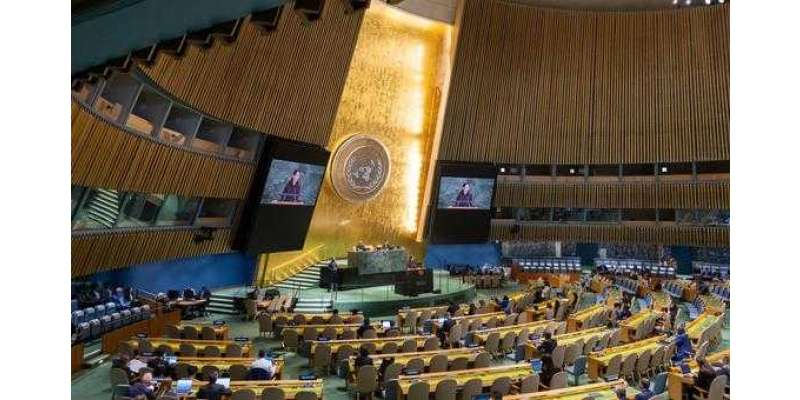 جنرل اسمبلی: سلامتی کونسل میں غزہ جنگ بندی قرارداد ویٹو ہونے کا جائزہ
