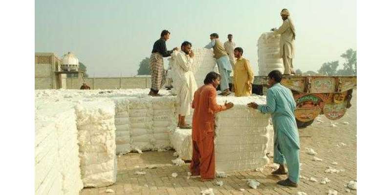کپاس کا عالمی دن: کسانوں کی جہدوجہد کو سلام پیش کرنے کا موقع، ایف اے ..