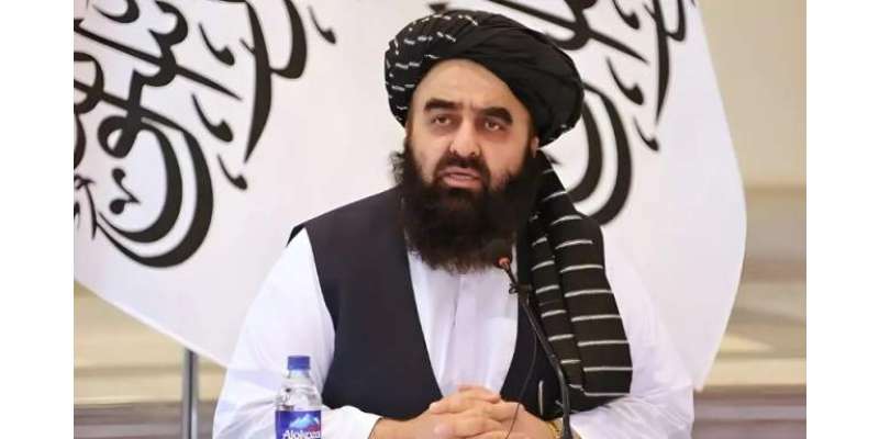 افغانستان کے وزیر خارجہ سفارتی دورے پر بھارت پہنچ گئے