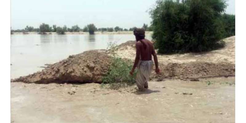 حکومت نے مدد نہ کی تو سیلاب متاثرہ کسان دیوالیہ ہوجائینگے، زاہد اعوان
