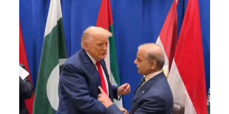 پاکستان اور امریکا کے درمیان دیرینہ تعلقات ایک اور اہم سنگِ میل عبور ..