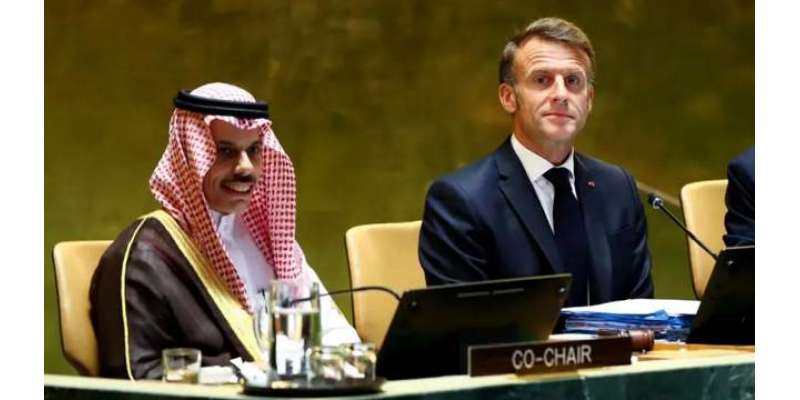 تمام ممالک اعلان نیویارک کو عملی اور ناقابل واپسی اقدامات کے ذریعے ..