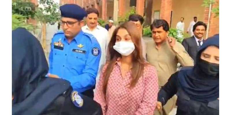 کتنے میں ڈیل ہوئی؟ سامعہ حجاب کو سخت سوالات کا سامنا، ٹک ٹاکر نے حسن ..