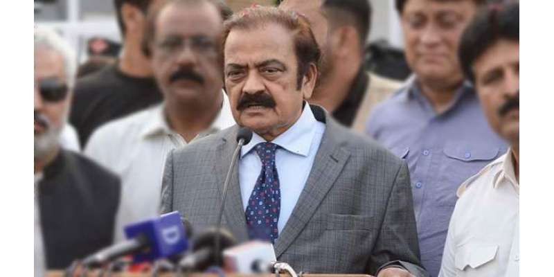 رانا ثناءاللہ پنجاب سے جنرل نشست پر سینیٹر منتخب