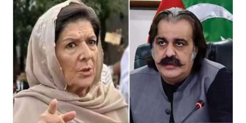 پی ٹی آئی کا سوشل میڈیا گالم گلوچ بریگیڈ ہے،علی امین کو ڈیڑھ سال سے ..