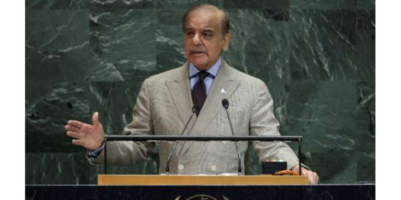 پاکستان بھارت کے ساتھ تمام تصفیہ طلب امور پر نتیجہ خیز مذاکرات کیلئے ..