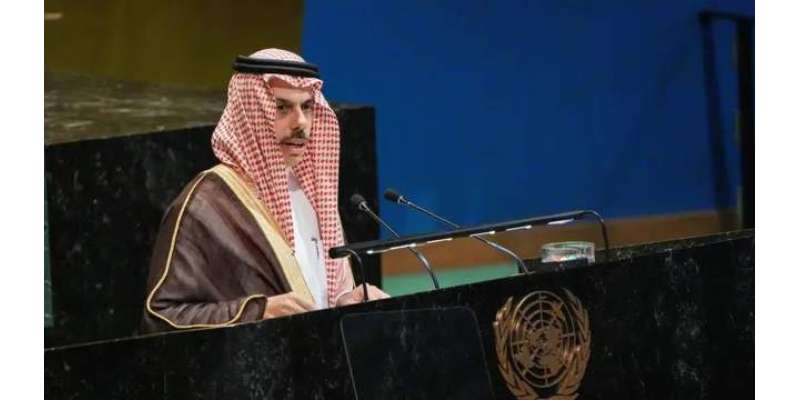 فرانس اور امن کی حامی ریاستوں کے ساتھ شراکت جاری رکھی جائے گی.سعودی ..